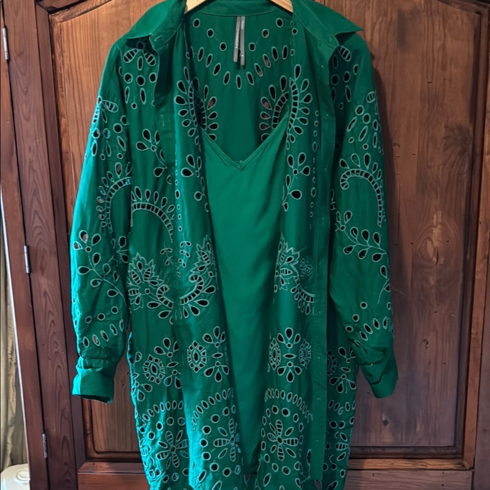 EUC By Anthropologie Green Eyelet Button Down Shirt Mini Dress - Picture 7 of 17